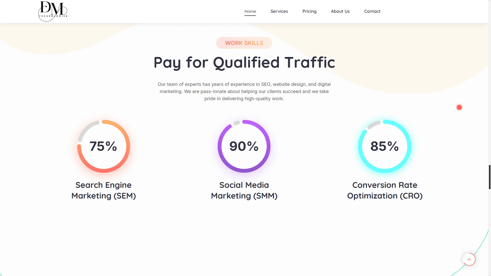 DMT Digital Agency Hub | Multi-Service Marketing Platform — screenshot 6